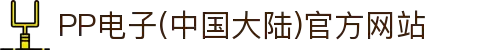 PP电子(中国大陆)官方网站